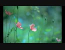 [TRANCE] Mixed by aki 2022/05/15