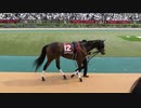 2022年5月14日 第67回 京王杯スプリングカップ パドック 全馬紹介 　メイケイエール、リフレイム