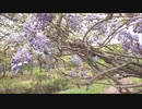 【Ai_MERROW+NAKUMO】ネコ (キミ)