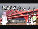 青年週末旅行 ＃29 年末旅行　その1