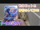 【ポケカ開封】『ダークファンタズマ』モルモットと開封してみた【モルモット】