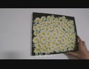 【油絵vlog】マーガレットpart5/絵の素人が、だらだら喋りながらお花の絵を描く