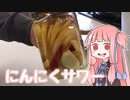 にんにく香る超スパイシーレモンサワー【ニンニク祭2022】