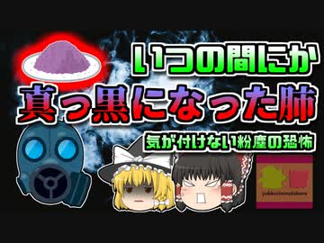 【1998年岩手】知らない間に真っ黒になっていた肺…その原因は現場の『粉』？【ゆっくり解説】