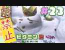【笛禁止！】笛を吹くことができない主人公の冒険【ピクミン2実況】#23