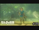サクッとBotW【ゼルダの伝説BotW実況】#39