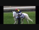 第17回ヴィクトリアマイル 現地映像【ソダシ】第3コーナーからウイニングラン