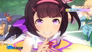 【競馬中継風】オークス / ニシノフラワー【ウマ娘 プリティーダービー】