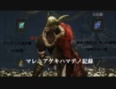 マレニアゲキハマデノ記録　（倒せたの嬉しかったので上げましたw）