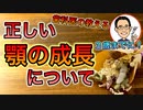 正しい顎の成長について【根本から考える歯科医が解説】