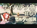 #40 ゼルダの伝説 ブレス オブ ザ ワイルド【サイハテノ島】