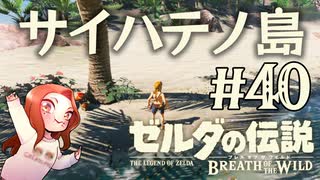 #40 ゼルダの伝説 ブレス オブ ザ ワイルド【サイハテノ島】