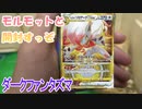 【ポケカ開封】『ダークファンタズマ』モルモットと開封すっぞ【モルモット、デグー】