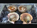 初夏の山奥で独りでソロキャンプしてみた（前篇）
