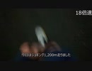 運動Day.46