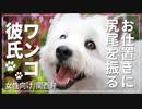 【女性向けボイス】お仕置きに尻尾を振る犬系彼氏【ASMR/関西弁】