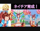【ウマ娘】タウラス杯用チアネイチャ育成の最終回！