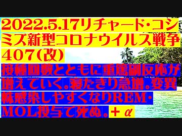 【2022年05月17日：リチャード・コシミズ Internet 講演（ 改良版 ）】