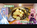猫耳姉妹のクラフトコーラ