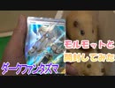 【ポケカ開封】『ダークファンタズマ』お前またかよ【モルモット】