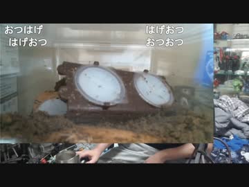 【おったん】サダと新恋人について