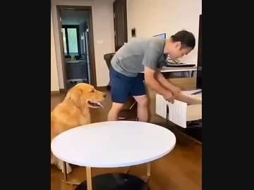 【賢いワンちゃん】
