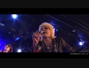 また雨が降り出したみたいだ【ZIGGY LIVE 2022「春ノ乱」】
