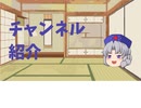 このチャンネルの概要