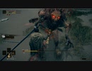 【ELDEN RING】ほのぼの散歩ゲー　えるでんりんぐ　１２【実況】