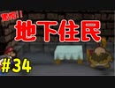 【初見実況】僕とマリオのかわいいストーリー！【Switch Online】＃34