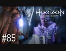 【ゆっくり実況】Horizon Zero Dawn その85