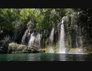 西宮秀明-nishihide- rainforest