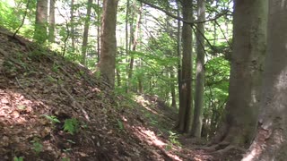 小根山・野鳥の森・・野鳥観察小屋と見晴台・・安中/群馬