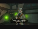 カカリコ村サブクエスト【ゼルダの伝説 BOTW 300% 攻略】