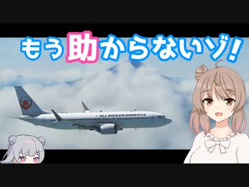何よりも環境に配慮する航空会社です【MSFS】