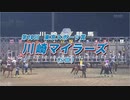 【競馬】2022年川崎マイラーズ(SⅢ)【ファルコンビーク】