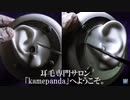 ［耳介ASMR］雑に耳の周りを徹底的に掃除します（両耳同時）