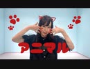 【きりみ。誕】アニマル【踊ってみた】