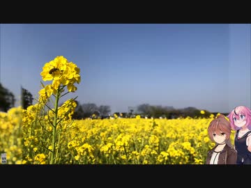 ご近所日帰り旅行記【ソフトウェアトーク旅行】