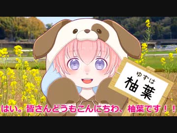 ホモと見る対立煽り.yuzuha