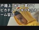 ピカチュー(光宙)というキラキラネームが戸籍記載で可能に！