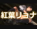 【静止画】DOA5 Momiji ryona 紅葉のリョナ　(YouTubeで削除された動画)