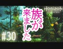 【実況】嫌な族が来たな #30【Horizon Forbidden West】