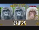 ランカー目指した戦士の記録【無限ゴリラスロット】おまけ