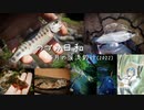 つづみ日和～5月の渓流釣行(2022)～