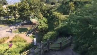 めっちゃ朝でめっちゃエコノミー家遠すぎおはよう 2019/8/25(日) 7:54開始 (2時間15分)（コメなし）
