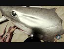 [TheForest] 野生化動物園6 [PC版v1.11]