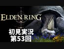 【初見実況】エルデンリング 第53回【手汗かき人が逝く】