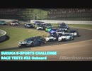 [iRacing]SUZUKA E-SPORTS CHALLENGE RACE TEST2 #32 オンボード動画