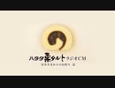 【水樹奈々】ハタダ栗タルト「お客さまからのお便り」篇